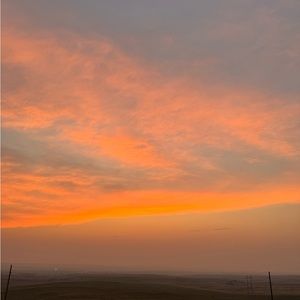 Meet your Posher, Devon